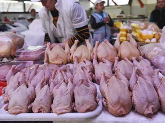 Россия сняла ограничения на ввоз мяса птицы из 15 стран ЕС