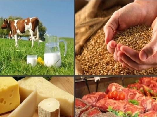 Россия нарастила поставки продукции АПК в Китай на 28%