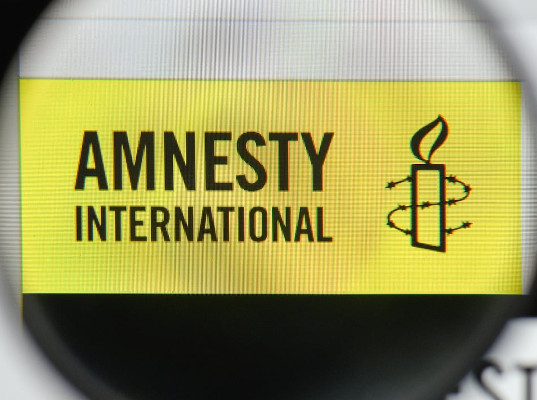 Amnesty Int. сообщила о скоординированной кампании по лишению Навального статуса узника совести