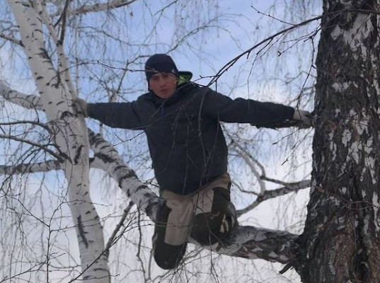 В омской деревне, где блогер залезал на березу в поисках интернета, установили вышку