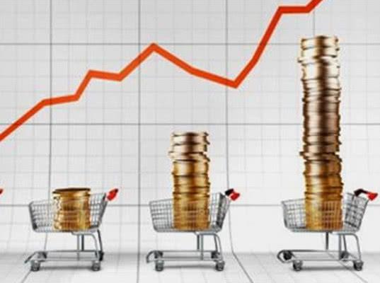 Большинство россиян назвали основной проблемой рост цен