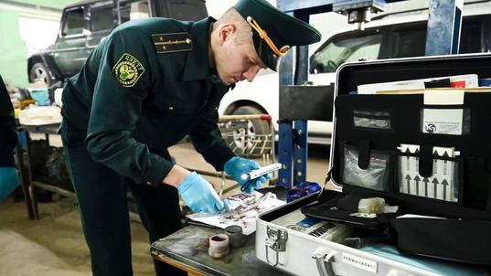 Полтонны гашиша на 800 млн рублей задержали таможенники на Северо-Западе