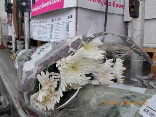 87 тысяч цветов лишены возможности попасть в букеты