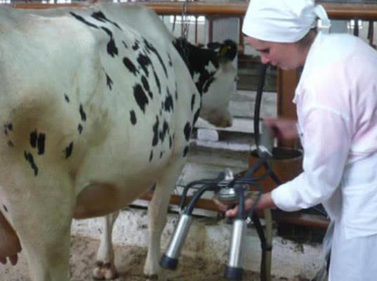 Кубинские инспекторы проверят российских производителей животноводческой продукции