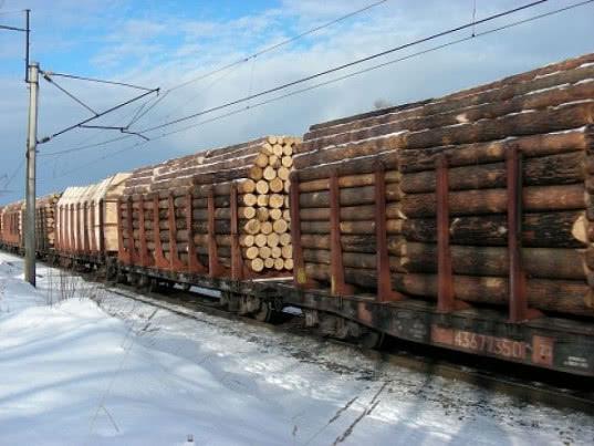 Российские заготовители дорубились до дефицита древесины