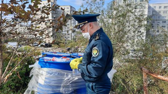 Контрабанду прекурсоров для производства мефедрона на 1,5 млрд рублей пресекли таможенники