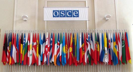 Россия приостановила выплату взносов в парламентскую ассамблею ОБСЕ