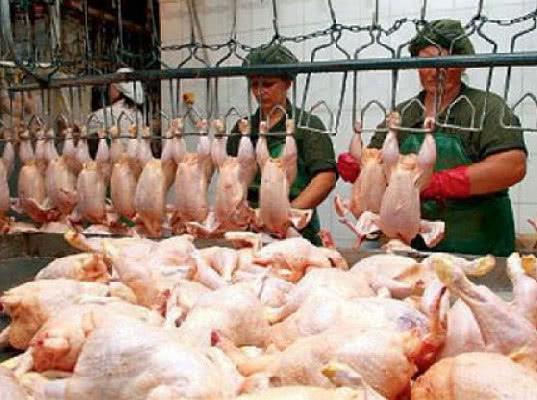 Россия и Казахстан обсудят отмену ограничений на ввоз мяса птицы трех компаний из РФ 