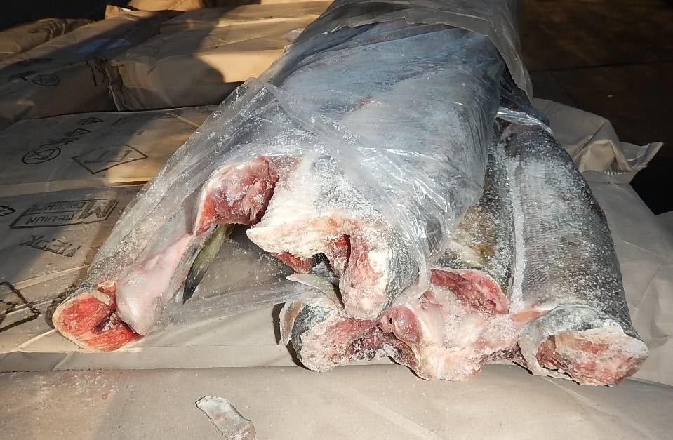 Более 162 тысяч тонн рыбопродукции отправили на экспорт предприятия Камчатки