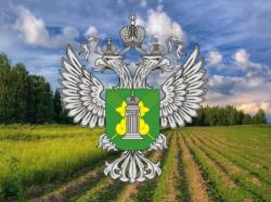 Россельхознадзор ввел упрощенную схему оформления ввозимой сельхозпродукции