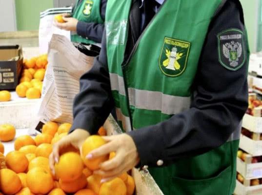 Как Россельхознадзор помогает наращиванию объемов экспорта продукции