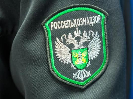 11,5 тысяч доз вакцины для животных отправились в Йемен