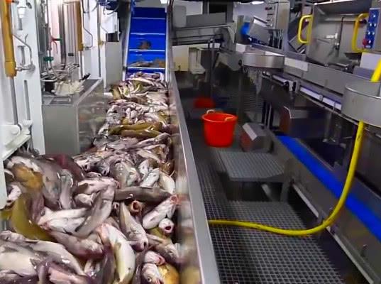Пограничная служба ФСБ требует прекратить "выпуск готовой продукции" в море