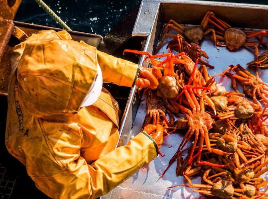 Что может помешать рыбакам увеличить экспорт продукции