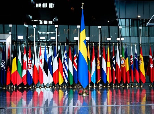 Глава Минторга Швеции не знает, откуда Трамп взял данные, объясняющие необходимость пошлин