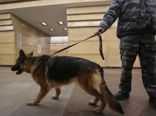 Все 69 станций петербургского метро проверили из-за сообщения о бомбе 
