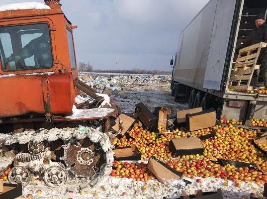 Более 40 тонн «санкционки» уничтожено смоленскими таможенниками 