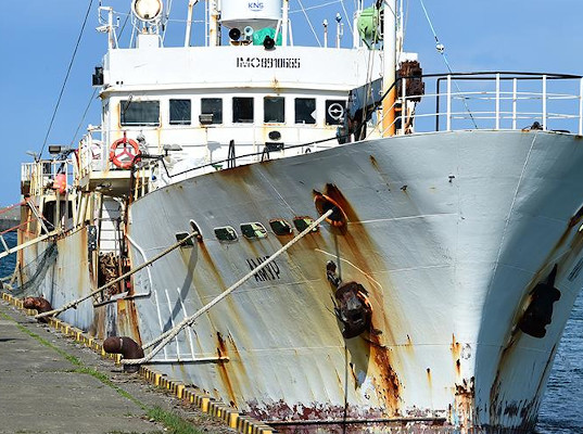 В Японии российскому моряку предъявили обвинения в халатности со смертельным исходом