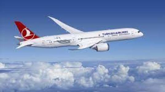 Turkish Airlines недогружает багаж на рейсах в Москву для безопасности полетов