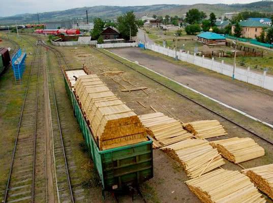 1,3 млн тонн древесины вывезено через ЖДПП Наушки