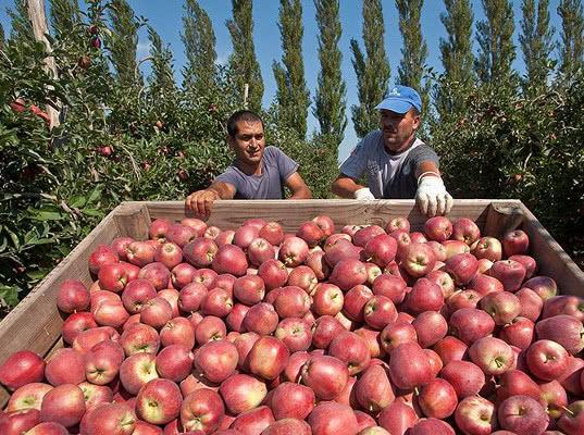 Экспорт молдавской продукции в Россию растет