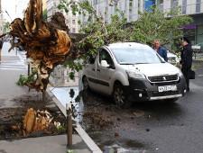 Страховщики дали первые оценки ущерба от урагана в Москве