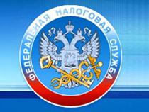ФНС разработала новую форму декларации по косвенным налогам