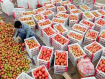 Турецкие продукты перестали поступать в Свердловскую область