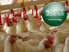 Россия получила доступ на рынок мяса Саудовской Аравии