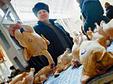 Российские предприятия намерены экспортировать в Иран халяль-продукты