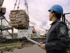 Россельхознадзор сократил время оформления грузов в порту Восточный