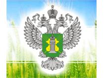 Россельхознадзор планирует разрешить ввоз иранского сыра до конца года
