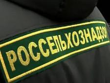 Россельхознадзор проведет инспектирование посадочного материала в Молдове и Италии 