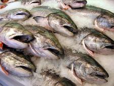 Ледяная глазурь не является первичной упаковкой мороженой рыбы