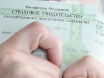 В России отменили бумажный СНИЛС