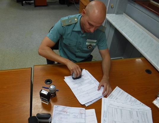 Назначение и проведение внеплановых выездных таможенных проверок возобновится уже с 1 октября