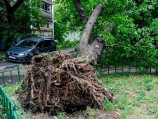 Из-за урагана в Москве погибли шесть человек, более 40 пострадали