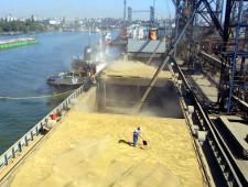 Владивостокский морской торговый порт (ВМТП) завершил сезонные отправки приморского зерна на экспорт